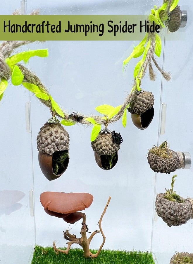 Daerky Jumping Spider Hide, Magnetic Climbing Rope Bridge, Handmade Real Acorn Hideaway Cave, Spider Platform, Decorative Accessory for Small Reptile Enclosures (Style 2) - Image 3